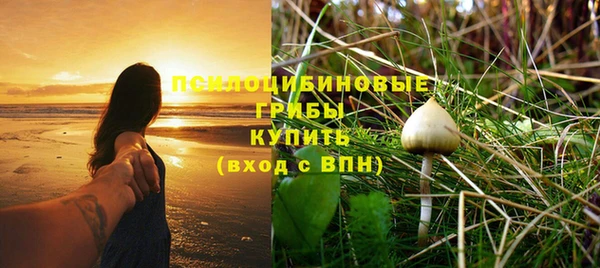 прущий лед Абаза